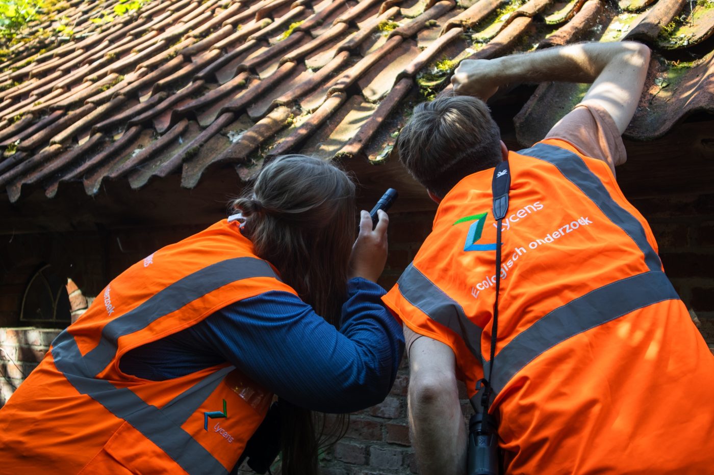 Onze Ecologie dienstverlening