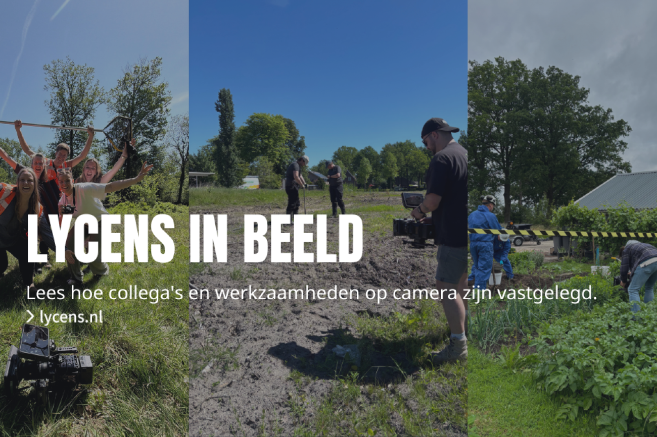 Lycens in beeld