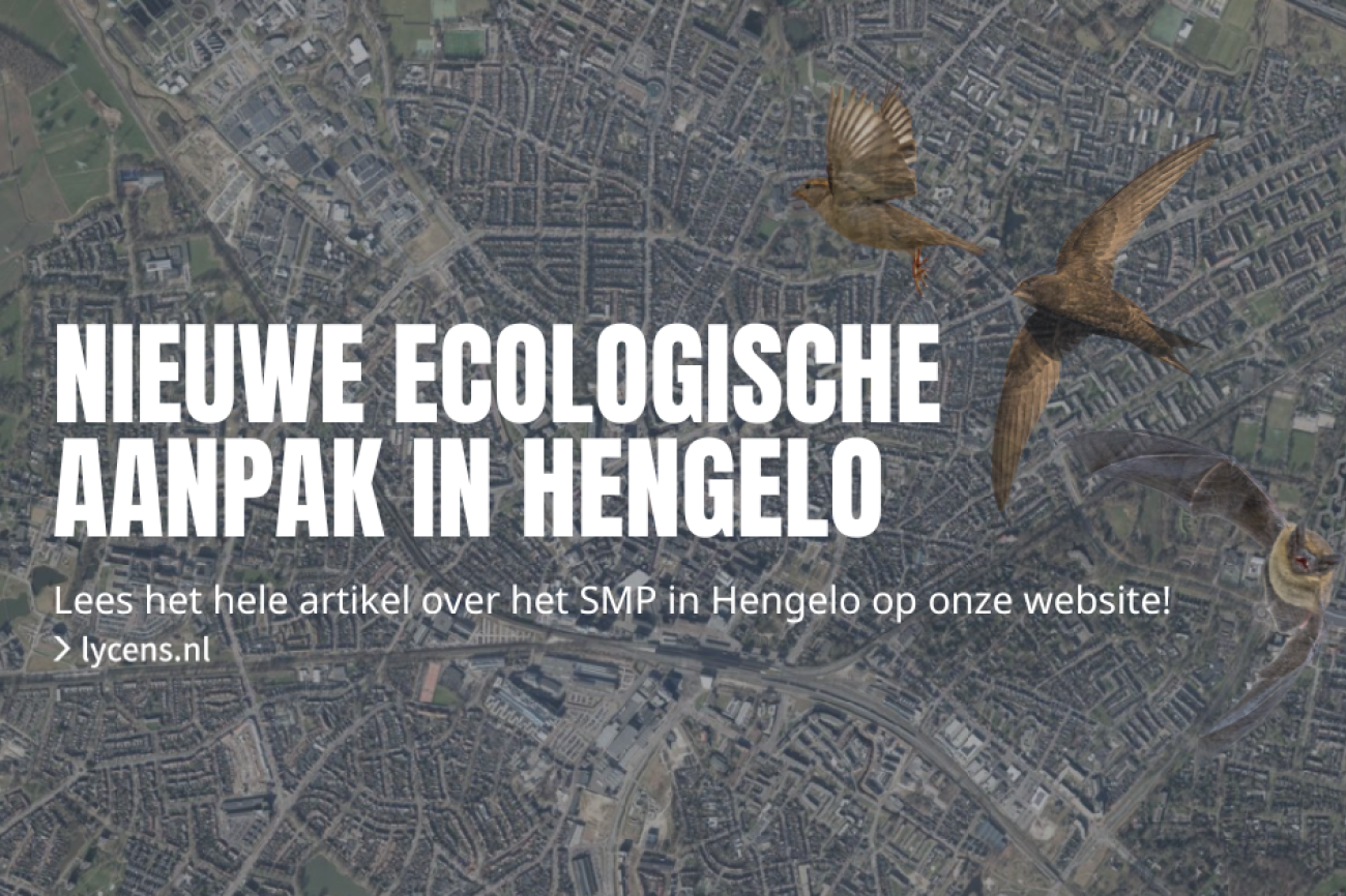 Nieuwe aanpak maakt ecologisch onderzoek eenvoudiger