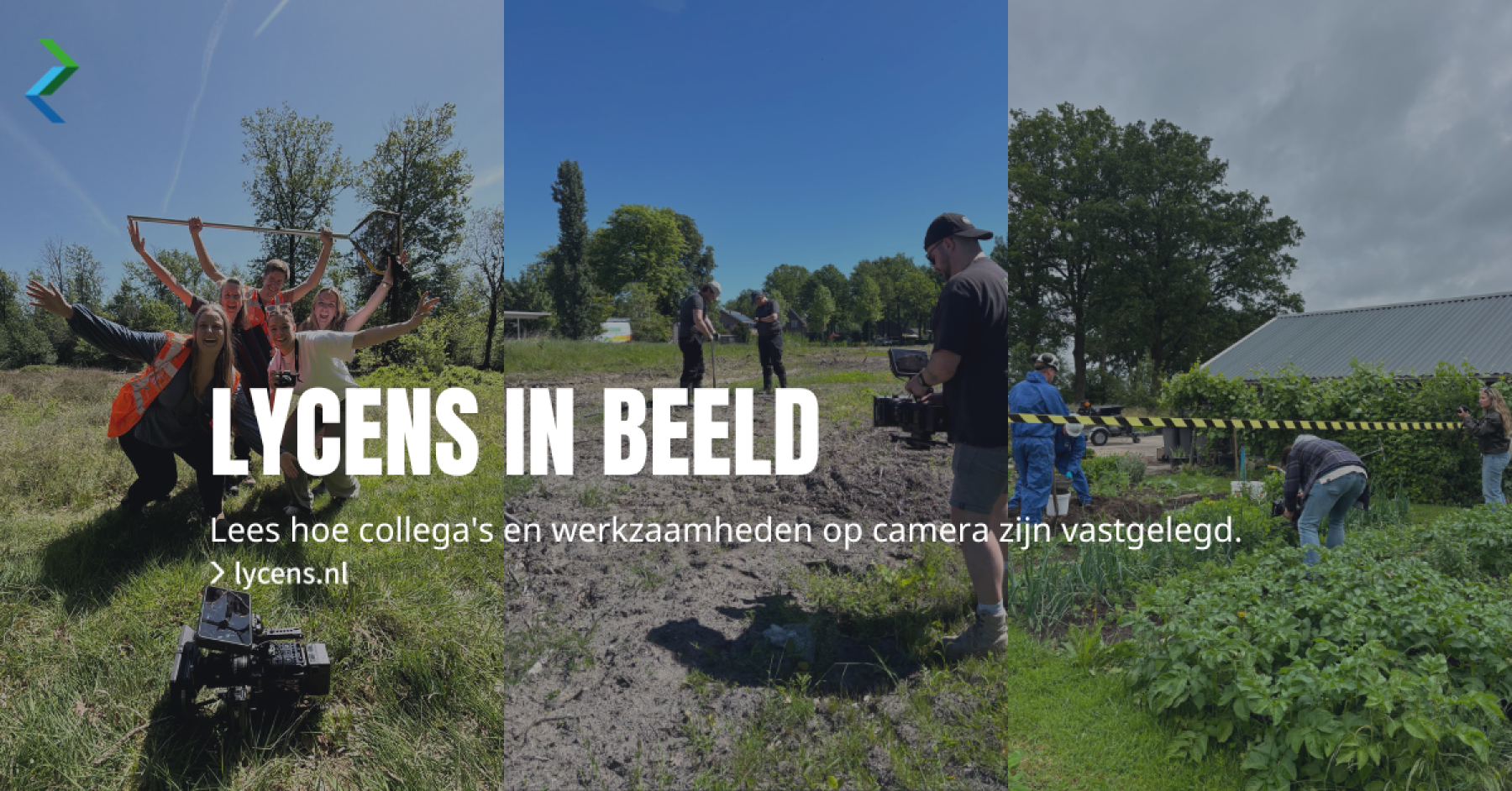 Lycens in beeld