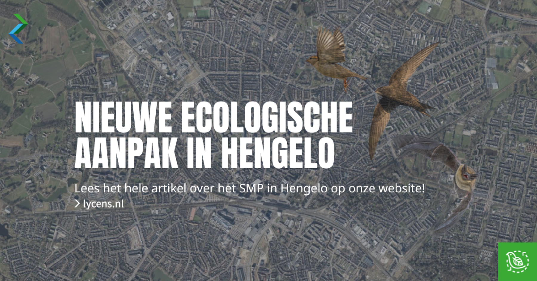 Nieuwe aanpak maakt ecologisch onderzoek eenvoudiger